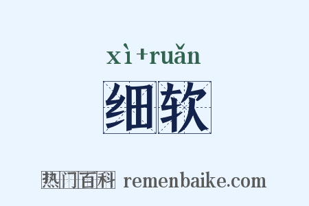 细软是什么意思的图片